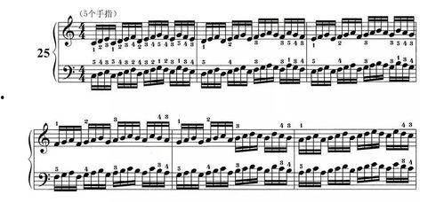 孕妇学钢琴成人教程视频,轻松学钢琴教程视频概述