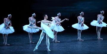 卜卦舞蹈成人舞蹈视频,探寻古老智慧与现代舞动的交融之美