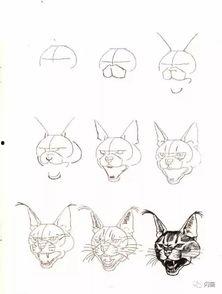 猫变成人形画法视频大全,跟随视频大全，解锁猫咪化形魔法