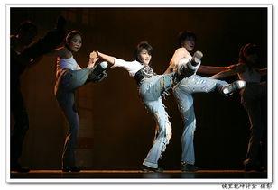 扬扬成人舞蹈视频大全,舞动人生，尽享舞蹈魅力