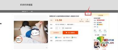 成人无毒视频网站,探索成人无毒视频网站的绿色空间