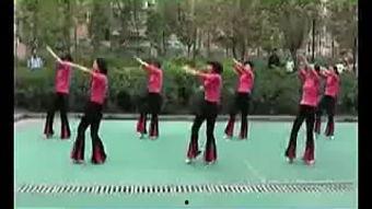 成人开场广场舞视频大全,精选成人开场广场舞视频大全