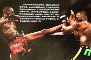 成人健身搏击视频