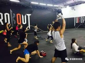 成人健身搏击视频