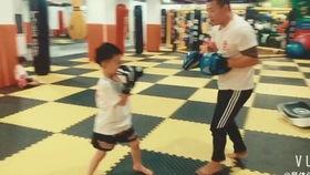 深圳成人搏击教学视频,实战技巧与健身之道