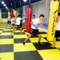 深圳成人搏击教学视频,实战技巧与健身之道