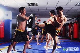 深圳成人搏击教学视频,实战技巧与健身之道