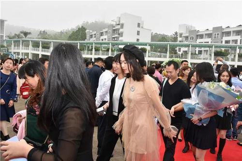 成人礼视频高清免费