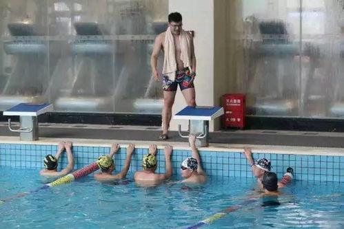 斯波特成人游泳视频大全,轻松掌握游泳技巧，畅游碧波之中