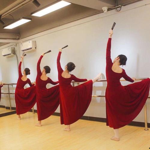 成人舞蹈训练视频