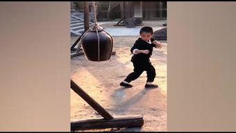 练武的视频成人,一场跨越时空的修炼之旅