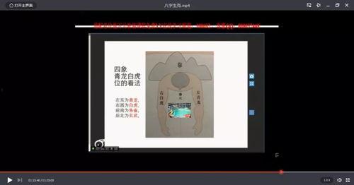 成人禅意拼图教程视频大全,轻松入门，体验心灵手巧的愉悦之旅