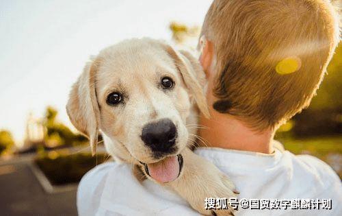 宠物变成人故事视频大全,宠物成精奇幻故事集锦