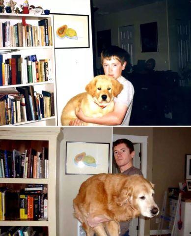 宠物变成人故事视频大全,宠物成精奇幻故事集锦