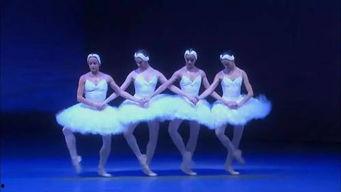 简单成人团扇舞视频教程,跟随简单成人团扇舞教程，舞出优雅风采