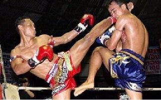 成人吸盘式拳击视频