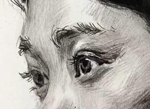 教成人素描的视频